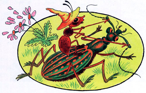 Читать сказку: Виталий Бианки / Как муравьишка домой спешил (читать)
