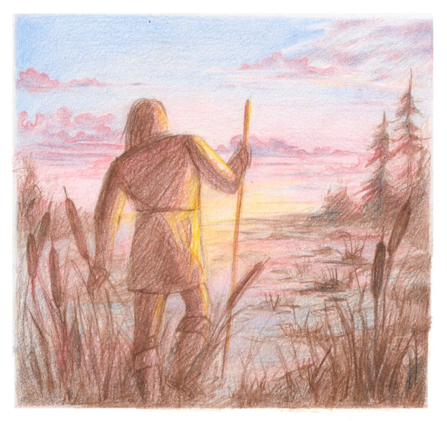 Читать сказку: Царевна-лягушка (читать)