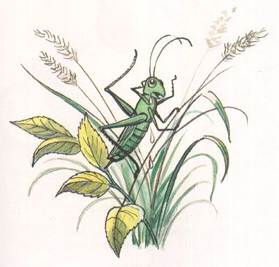 Читать сказку: Корней Чуковский / Айболит (читать)