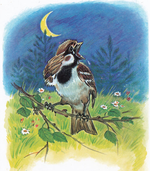 Читать сказку: Краденое солнце / Корней Чуковский (читать)