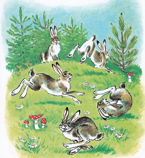 Читать сказку: Краденое солнце / Корней Чуковский (читать)