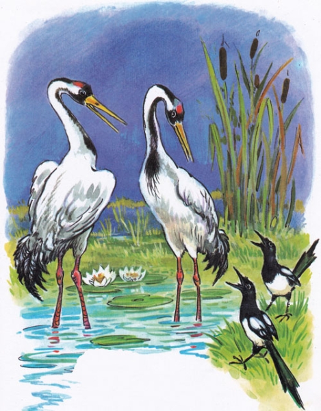 Читать сказку: Краденое солнце / Корней Чуковский (читать)