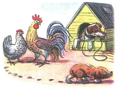 Читать сказку: Кто сказал мяу / Владимир Сутеев (читать)