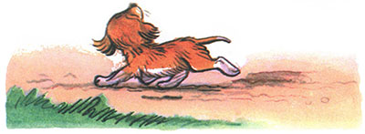 Читать сказку: Кто сказал мяу / Владимир Сутеев (читать)