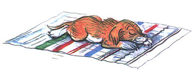 Читать сказку: Кто сказал мяу / Владимир Сутеев (читать)