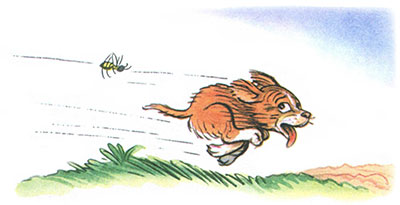 Читать сказку: Кто сказал мяу / Владимир Сутеев (читать)