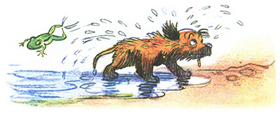 Читать сказку: Кто сказал мяу / Владимир Сутеев (читать)