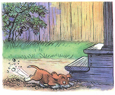 Читать сказку: Кто сказал мяу / Владимир Сутеев (читать)