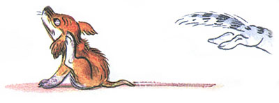 Читать сказку: Кто сказал мяу / Владимир Сутеев (читать)