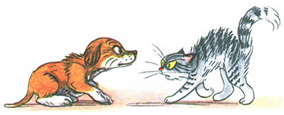 Читать сказку: Кто сказал мяу / Владимир Сутеев (читать)