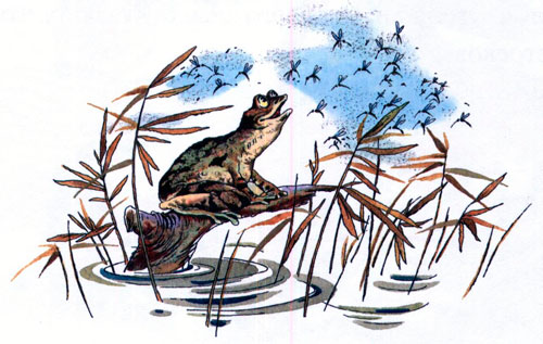 Читать сказку: Лягушка-путешественница / Всеволод Гаршин (читать)