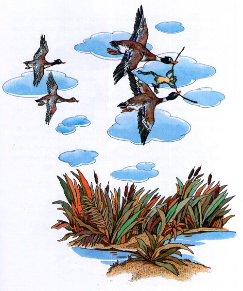 Читать сказку: Лягушка-путешественница / Всеволод Гаршин (читать)