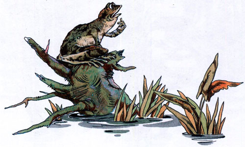 Читать сказку: Лягушка-путешественница / Всеволод Гаршин (читать)