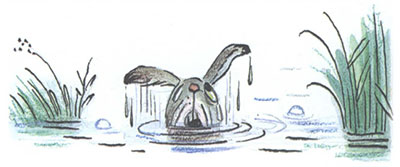 Читать сказку: Палочка-выручалочка / Владимир Сутеев (читать)