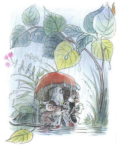 Читать сказку: Под грибом / Владимир Сутеев (читать)