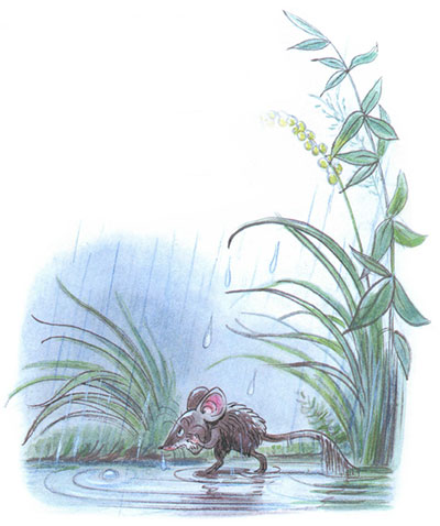 Читать сказку: Под грибом / Владимир Сутеев (читать)