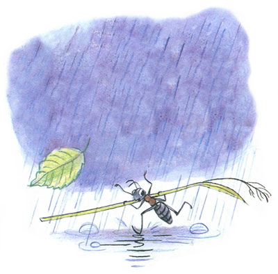 Читать сказку: Под грибом / Владимир Сутеев (читать)