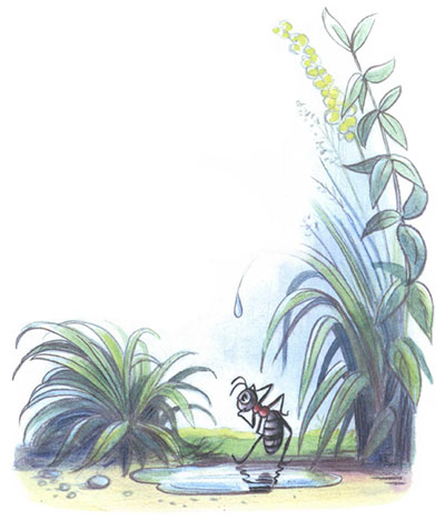 Читать сказку: Под грибом / Владимир Сутеев (читать)