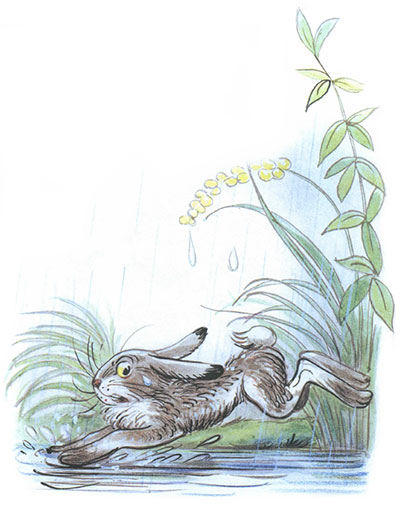 Читать сказку: Под грибом / Владимир Сутеев (читать)