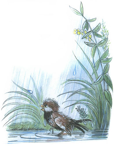 Читать сказку: Под грибом / Владимир Сутеев (читать)