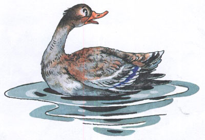 Читать сказку: Серая шейка / Мамин-Сибиряк (читать)