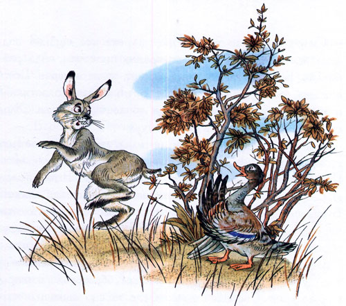 Читать сказку: Серая шейка / Мамин-Сибиряк (читать)