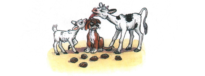 Читать сказку: Шишки / Михаил Пляцковский (читать)