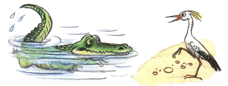 Читать сказку: Сказка о перевёрнутой черепахе / Михаил Пляцковский (читать)