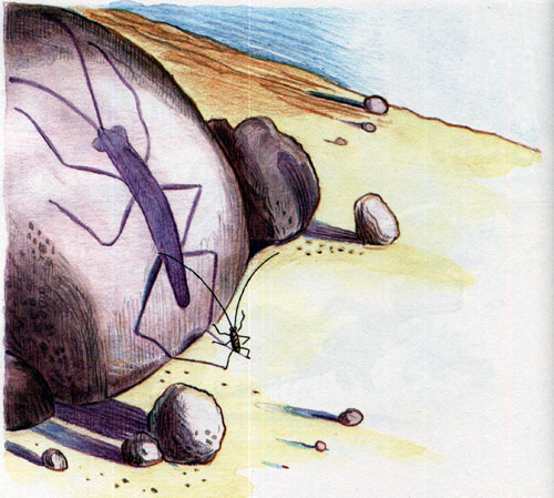 Читать сказку: Тараканище / Корней Чуковский (читать)