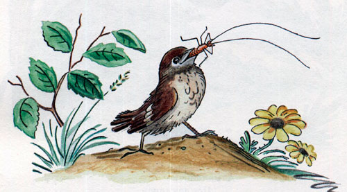 Читать сказку: Тараканище / Корней Чуковский (читать)