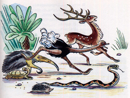 Читать сказку: Тараканище / Корней Чуковский (читать)